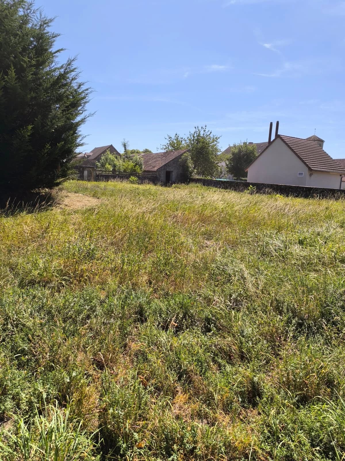 Redonner de l’espace au jardin — photographie 5