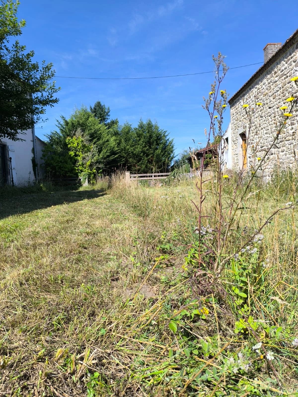 Redonner de l’espace au jardin — photographie 3