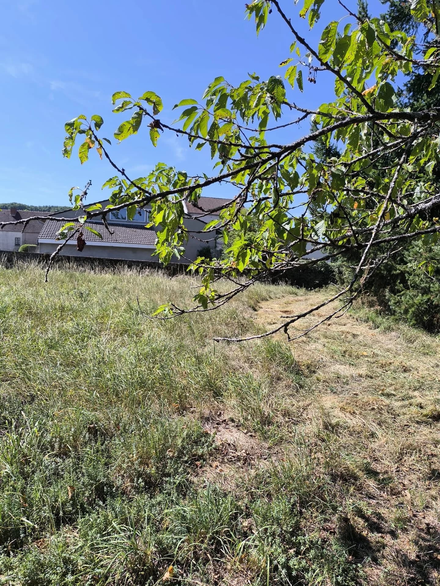 Redonner de l’espace au jardin — photographie 6