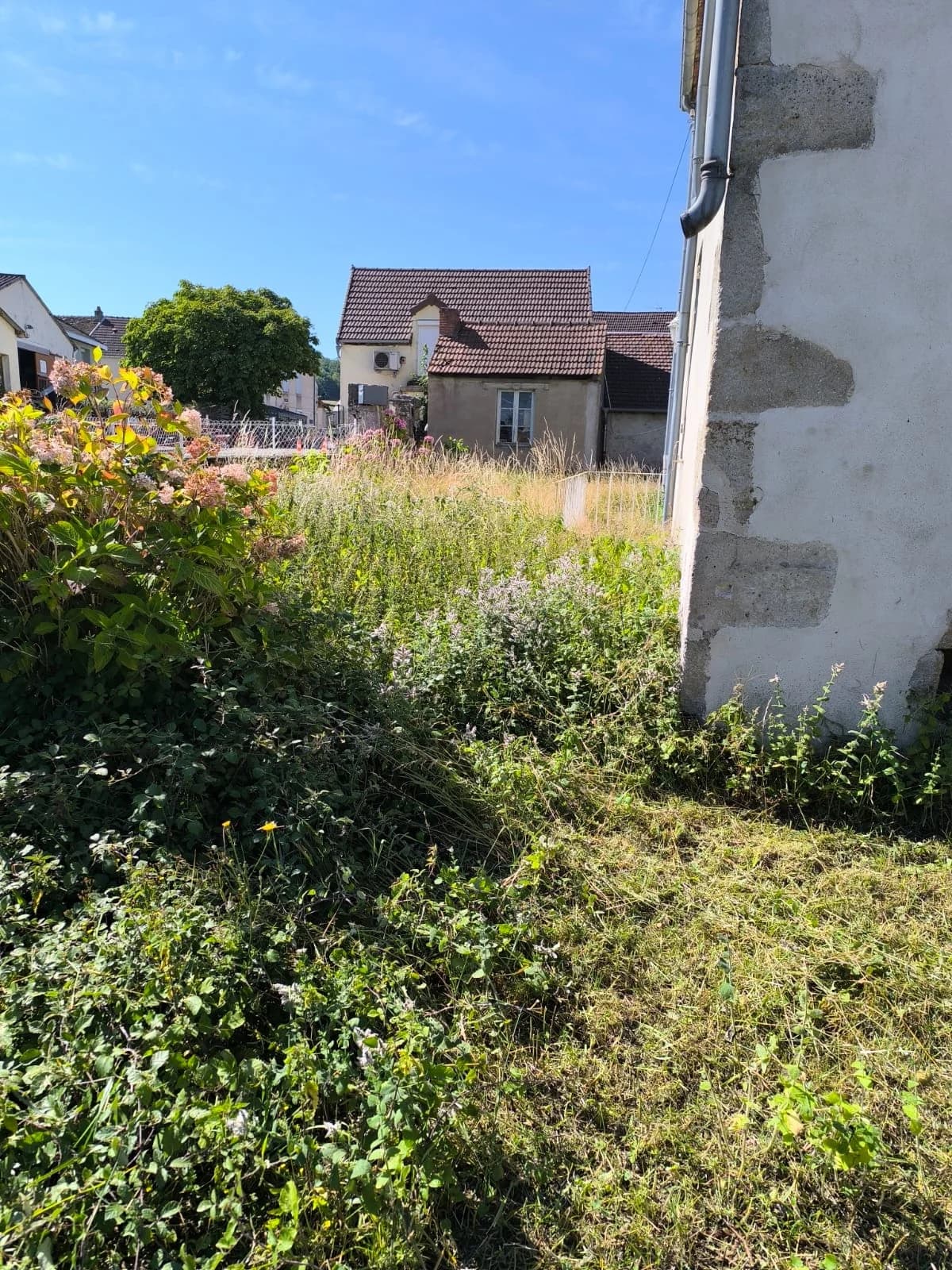 Redonner de l’espace au jardin — photographie 2